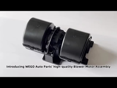 Air Truck Blower Motor Brushless Voor Truck MAN 2015 OEM 8161930614